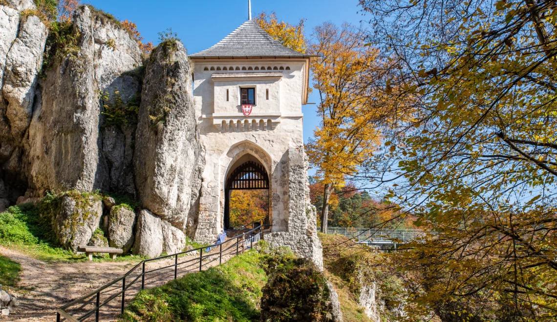 Panoramiczny widok Ojcowskiego Parku Narodowego