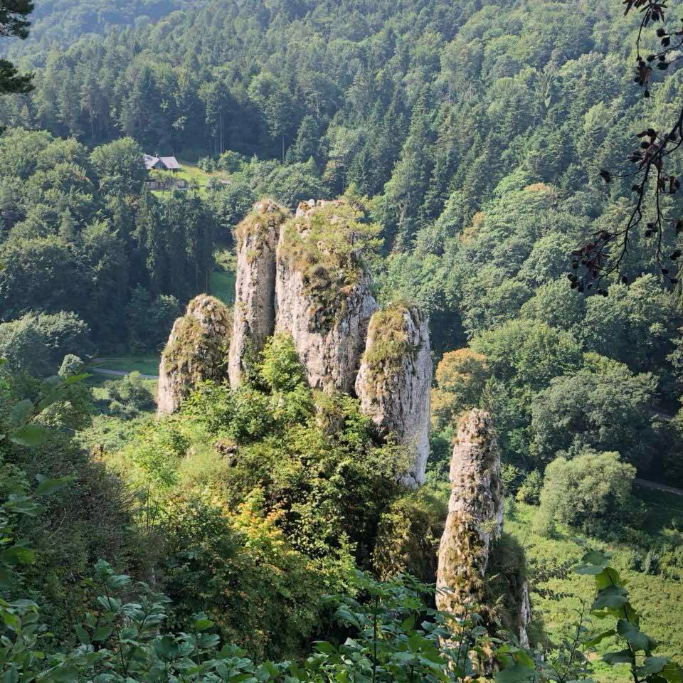 Formacje skalne w parku